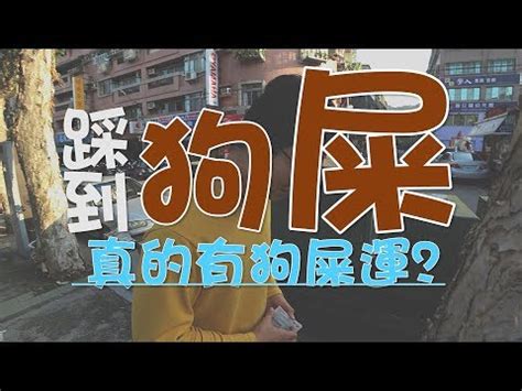 踩到狗大便運氣|左腳踩到狗屎是好運，右腳則會倒霉？ 